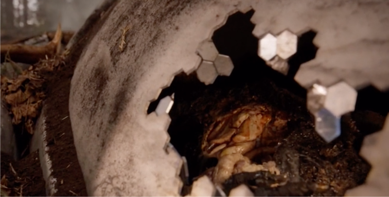 This is not an alien! This is goop!